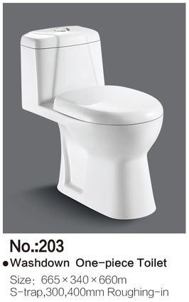 Economic Washdown one-piece S-trap dual flush toilet