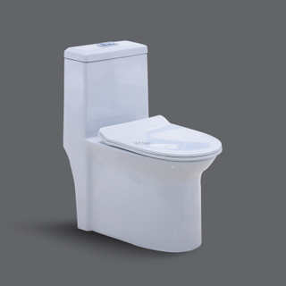 Sanitary Wares Bathroom Ceramic One Piece Toilets Rimless Siphonic flushing