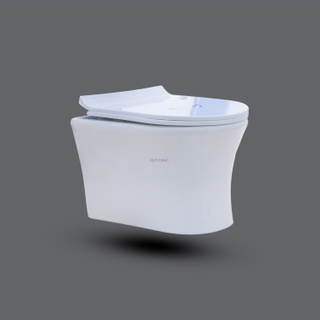 China Factory Supplier Wall Mounted Toilets Concealed Cistern Wall Hung Toilet Ceramic